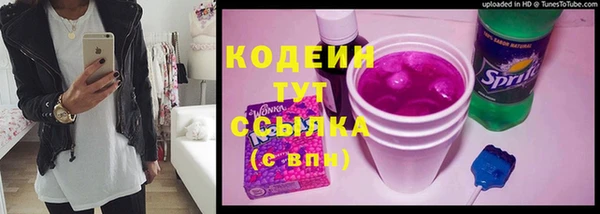 мдпв Богородск