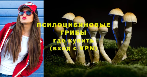 MDMA Богородицк